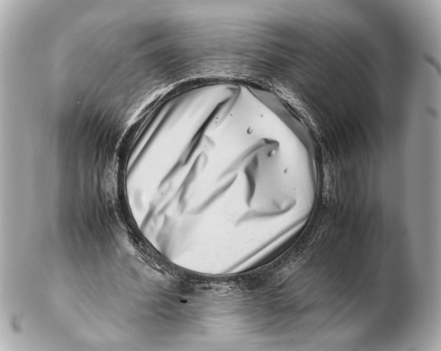 X0000102510580200808291736