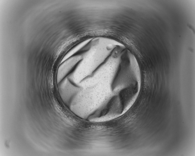 X0000102510582200808291736