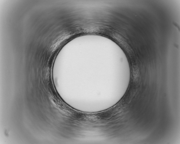 X0000102510583200808291736