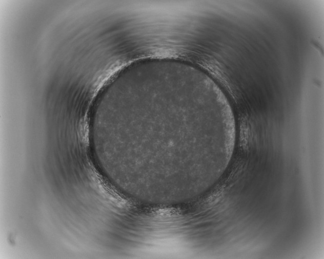 X0000102510584200808291736