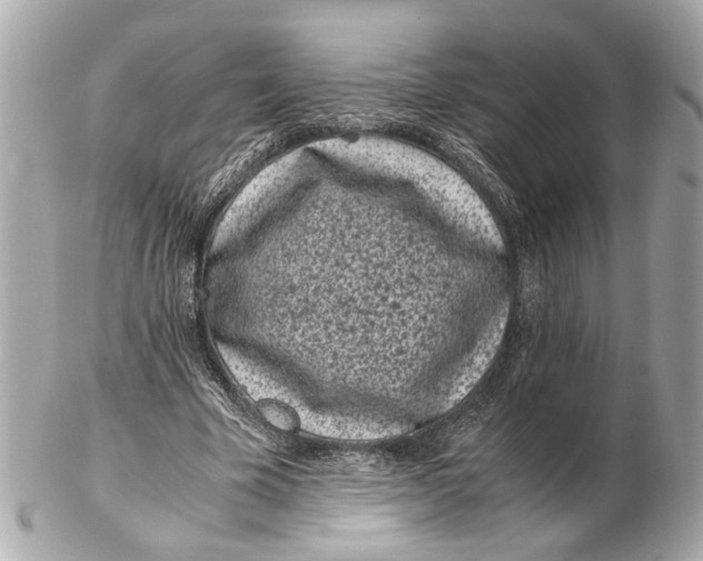 X0000102510585200808291736