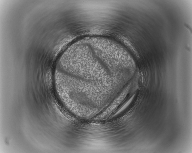 X0000102510588200808291736