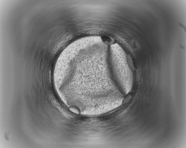 X0000102510589200808291736