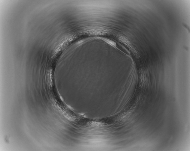 X0000102510590200808291736