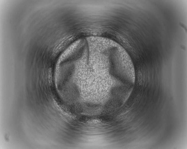X0000102510594200808291736