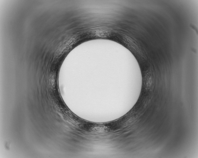 X0000102510595200808291736