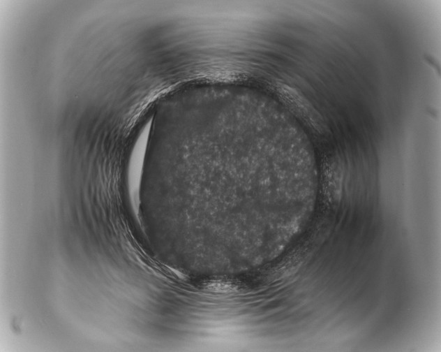 X0000102510596200808291736