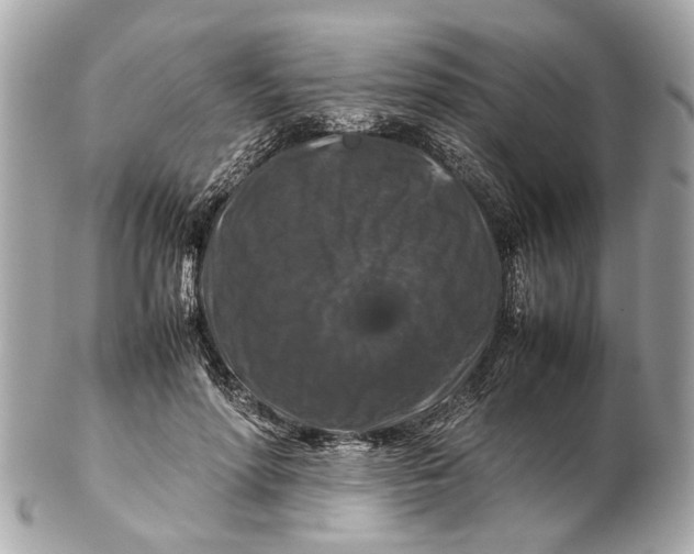 X0000102510598200808291736
