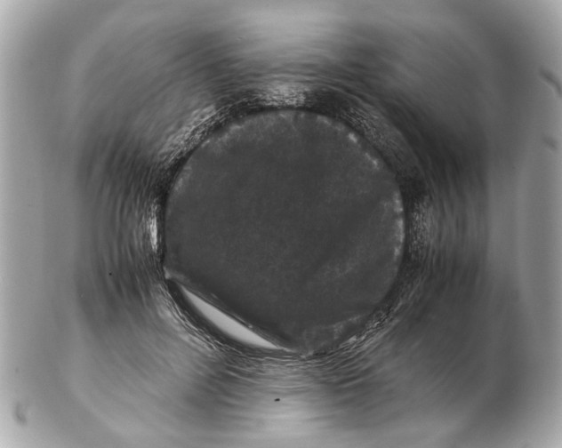 X0000102510600200808291736