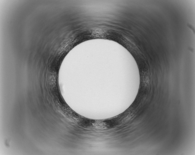 X0000102510603200808291735