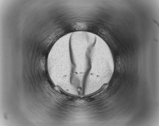 X0000102510604200808291735