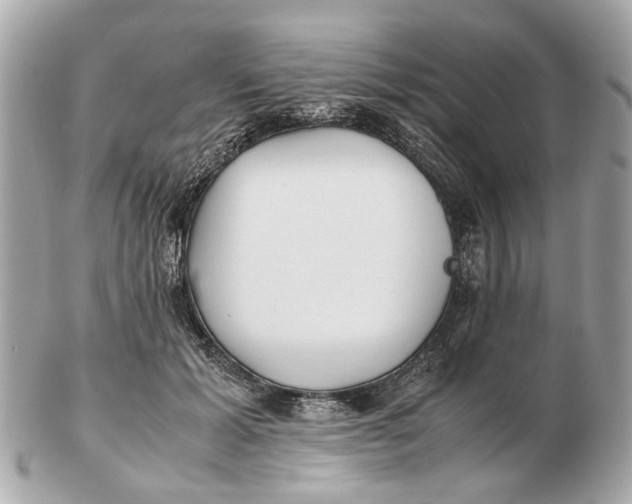 X0000102510605200808291735