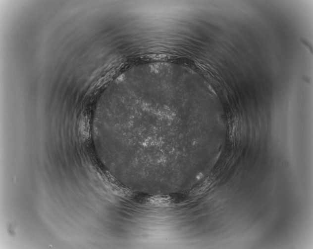 X0000102510606200808291735