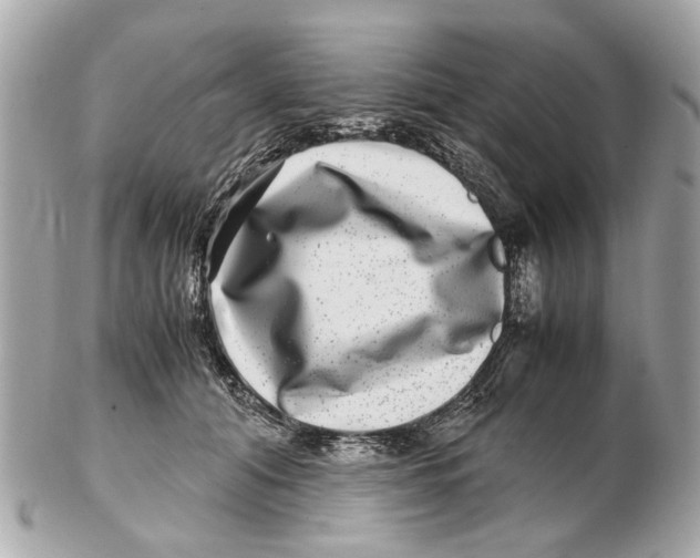 X0000102510608200808291735