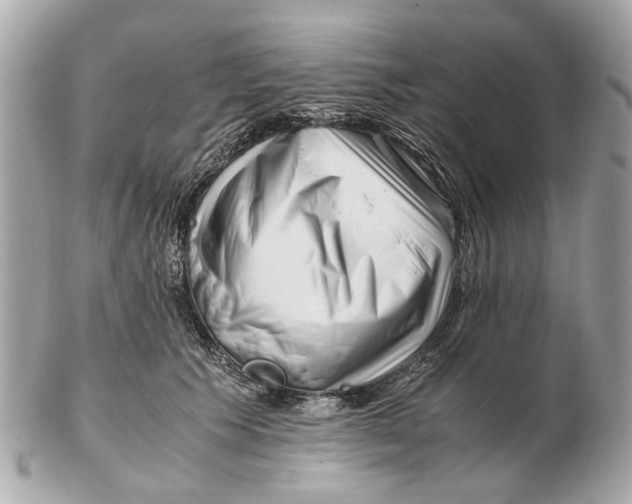 X0000102510609200808291735