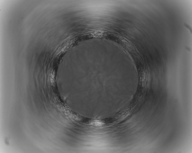 X0000102510610200808291735