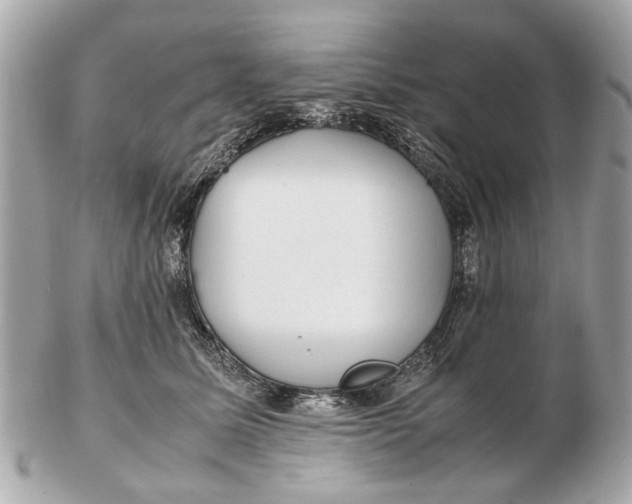 X0000102510611200808291735