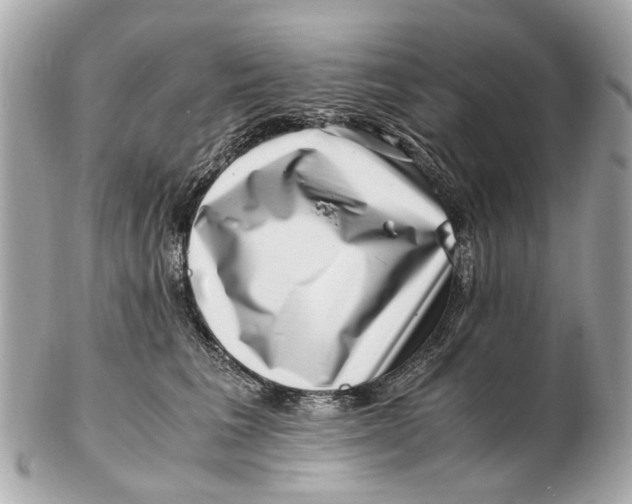 X0000102510613200808291735