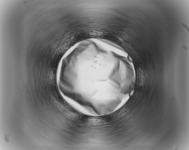 X0000102510614200808291735