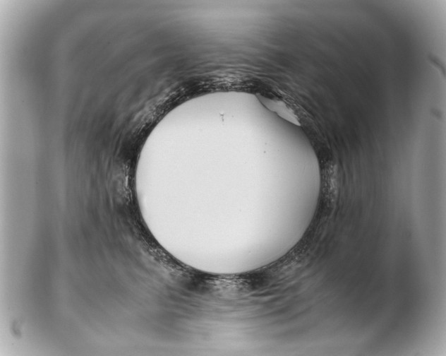 X0000102510615200808291735
