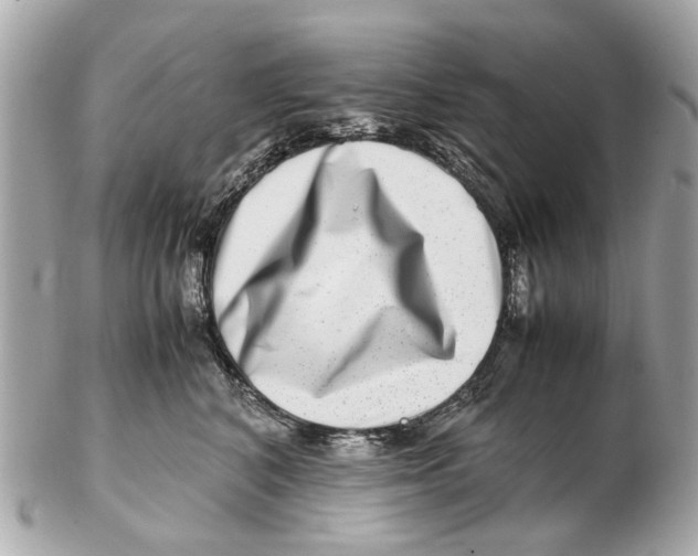 X0000102510616200808291735