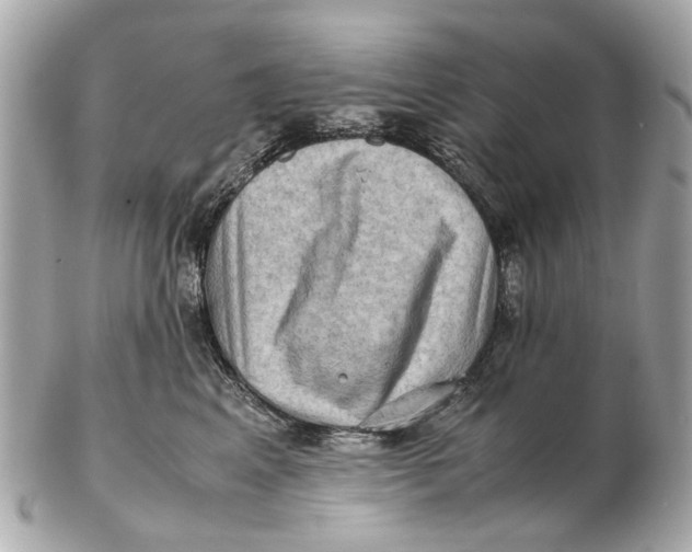 X0000102510617200808291735