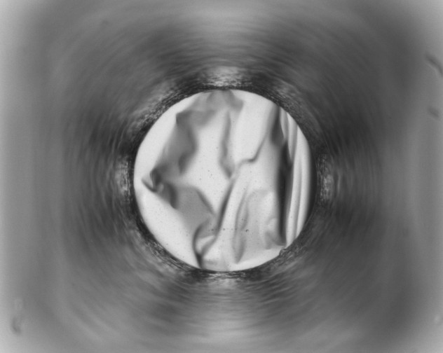 X0000102510620200808291735