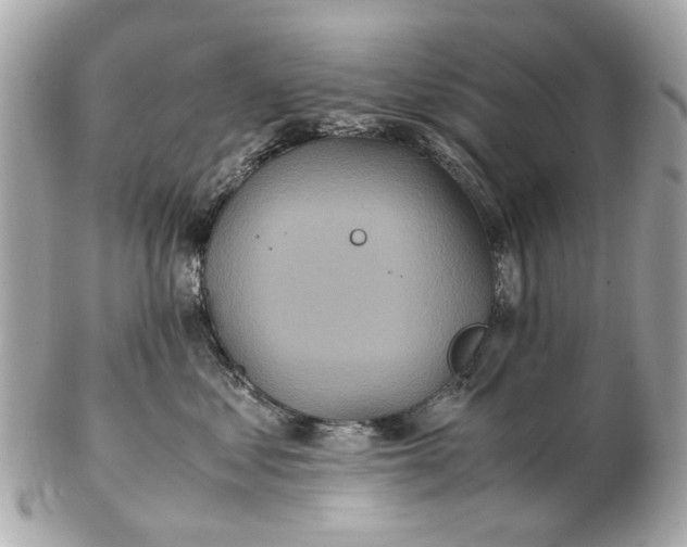 X0000102510621200808291735