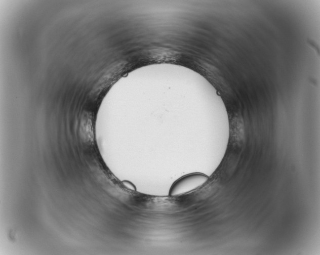 X0000102510622200808291735
