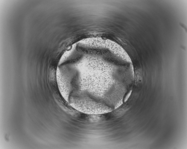 X0000102510623200808291735
