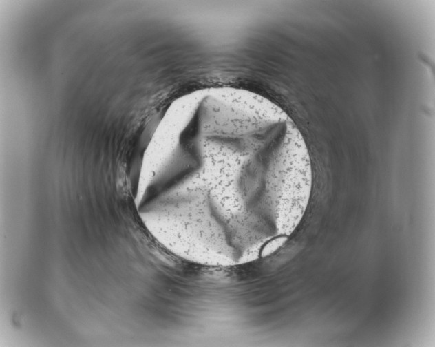 X0000102510624200808291735