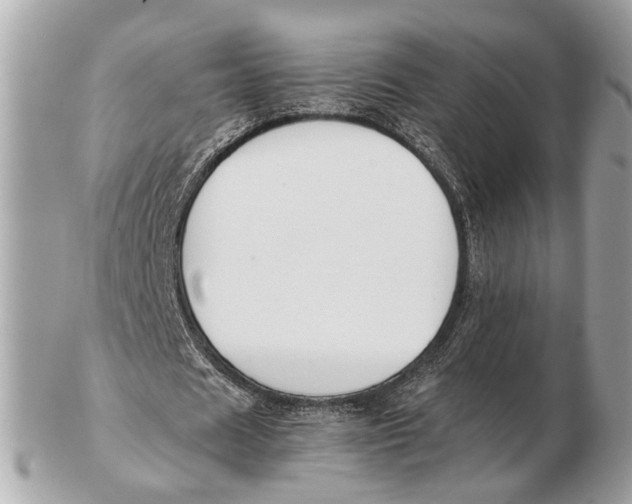 X0000102510625200808291735
