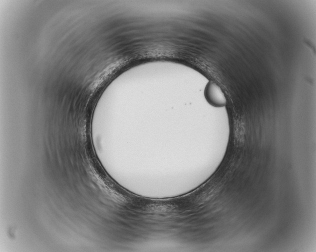 X0000102510629200808291735