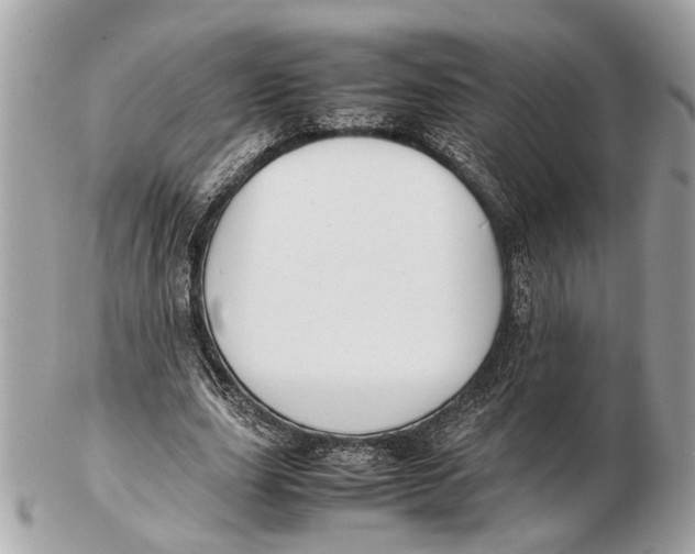 X0000102510631200808291735