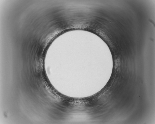 X0000102510632200808291735