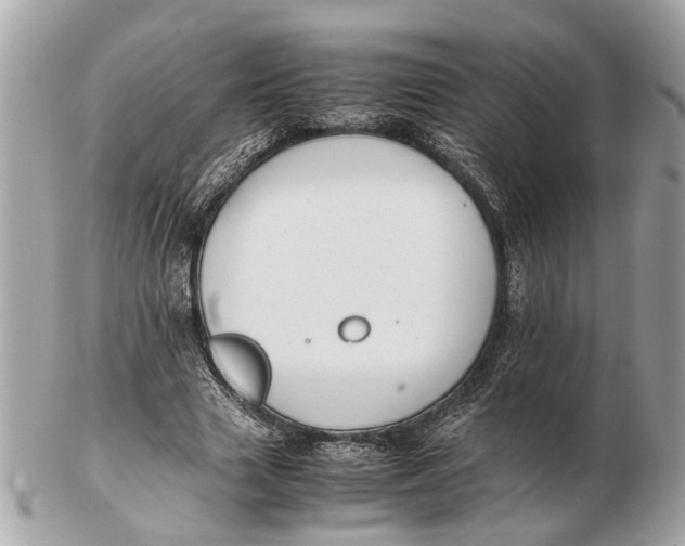 X0000102510633200808291735
