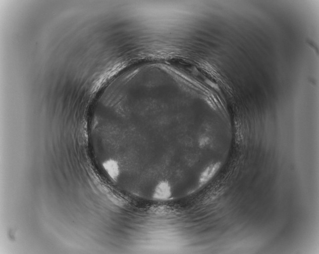 X0000102510634200808291735