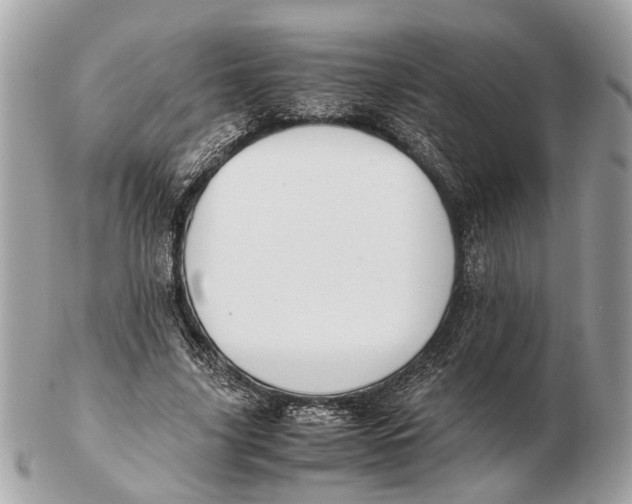 X0000102510635200808291735