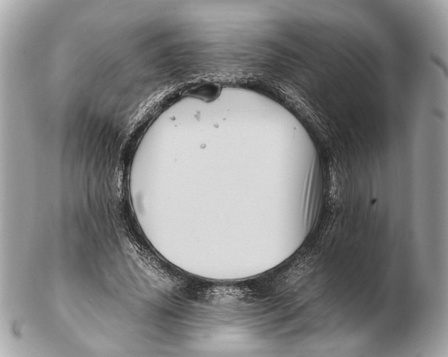 X0000102510636200808291735