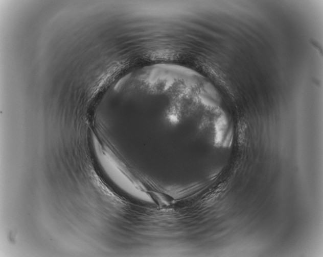 X0000102510637200808291735