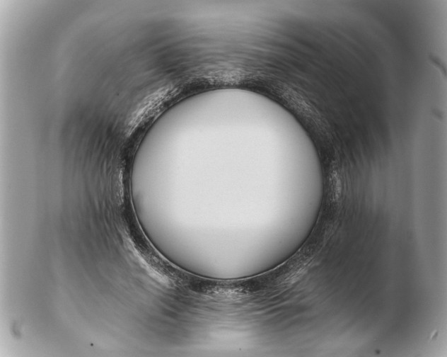 X0000102510638200808291735