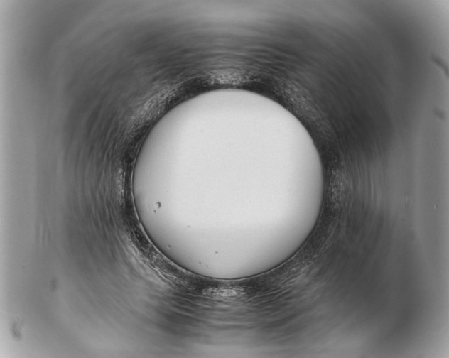X0000102510639200808291735