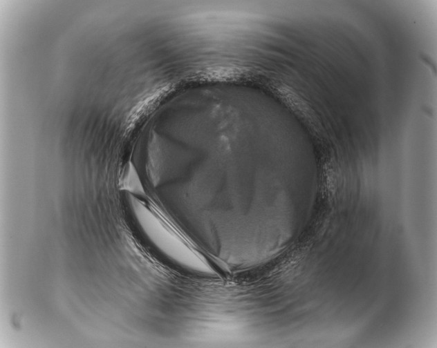 X0000102510640200808291735