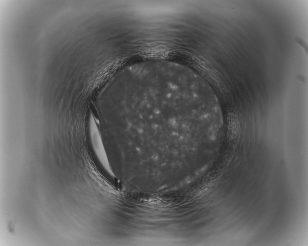X0000102510641200808291735