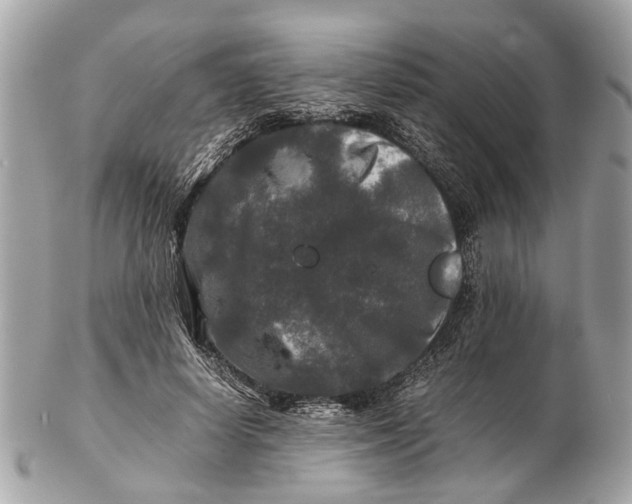 X0000102510642200808291735