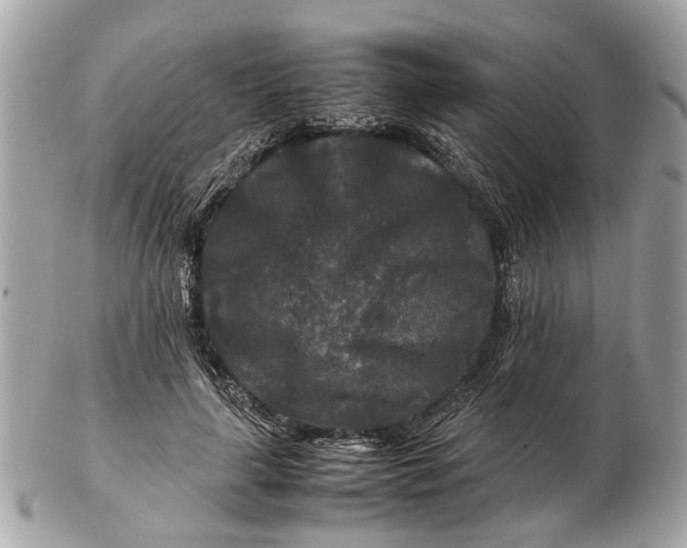 X0000102510643200808291735