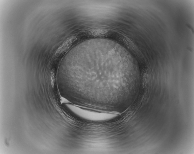 X0000102510644200808291735