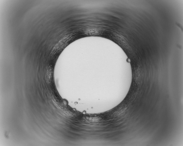 X0000102510645200808291735