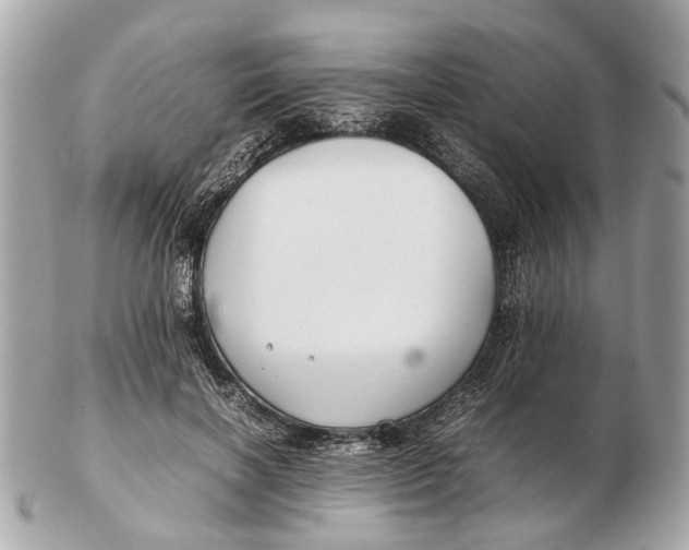 X0000102510646200808291735