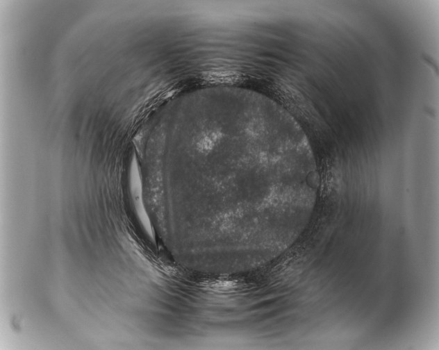 X0000102510647200808291735